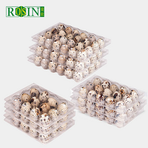 Quail Egg Carton 15 Holes Plastic Egg Tray with Lid Clear Clamshell Disposable Wholesale Pet/pvc Blister Food 16.6*10.5*3.9cm