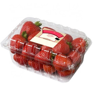 Clear Fruit Punnet Disposable PET Plastic Strawberry Clamshell Packaging Box