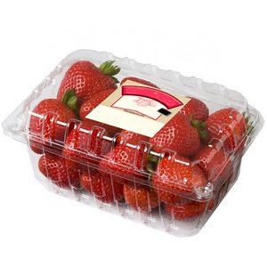 Disposable PET Blister Food Packaging Containers Plastic Fruit Punnet Strawberries Box