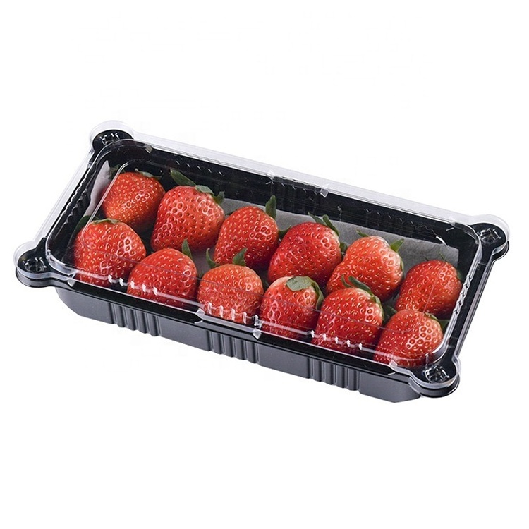 Clear Fruit Punnet Disposable PET Plastic Strawberry Clamshell Packaging Box