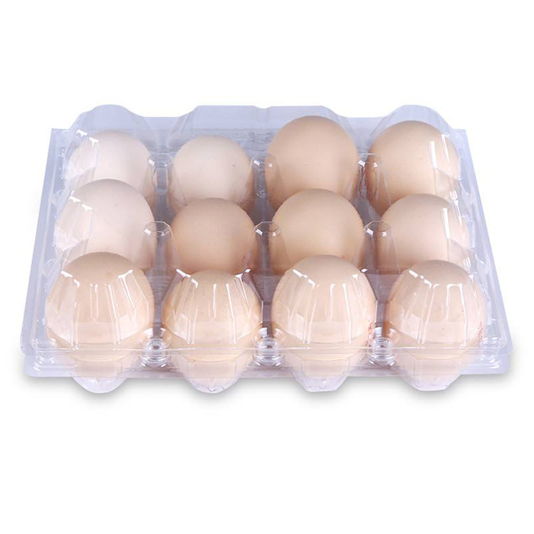 Customized transparent 6 holes popular portable egg tray box plastic mold clamshell packaging