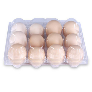 Customized transparent 6 holes popular portable egg tray box plastic mold clamshell packaging