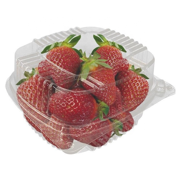 Disposable PET Blister Food Packaging Containers Plastic Fruit Punnet Strawberries Box