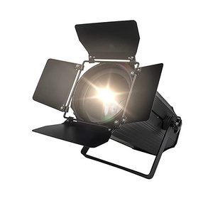 Studio Theater 200W Auto Zoom LED COB Par Light