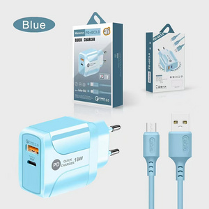 Dual USB Port 110V-240V PD 12W type c charger Adapter with micro charge cable