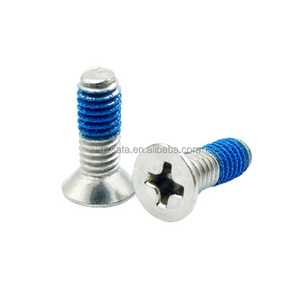 Customized Phillips Cross Recessed Flat Countersunk Head Machine Screws