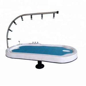 High quality Spa massage Virhy water jet bed for sale