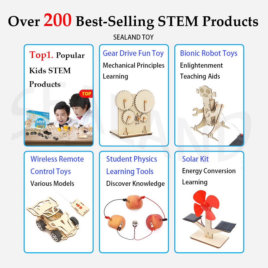 C-20E 1pc STEM Learning Toy Construction Kit Engineered Manual Wireless Remote Control Car RC Cars 3D Wooden DIY Arts Crafts