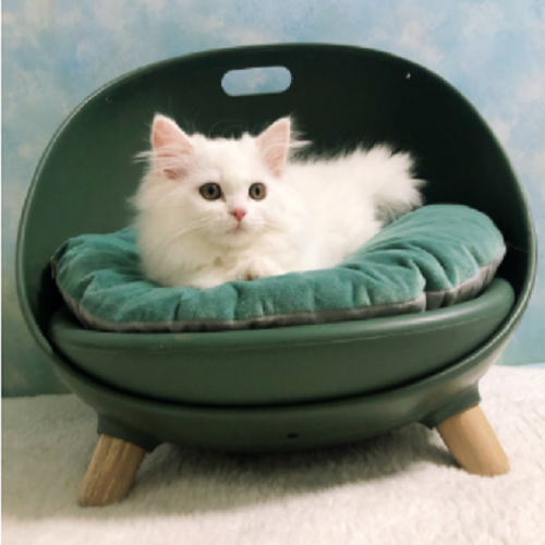 House Cats Nest Bed Home Decoration Simple Multi-function Pet Bed For Cats With