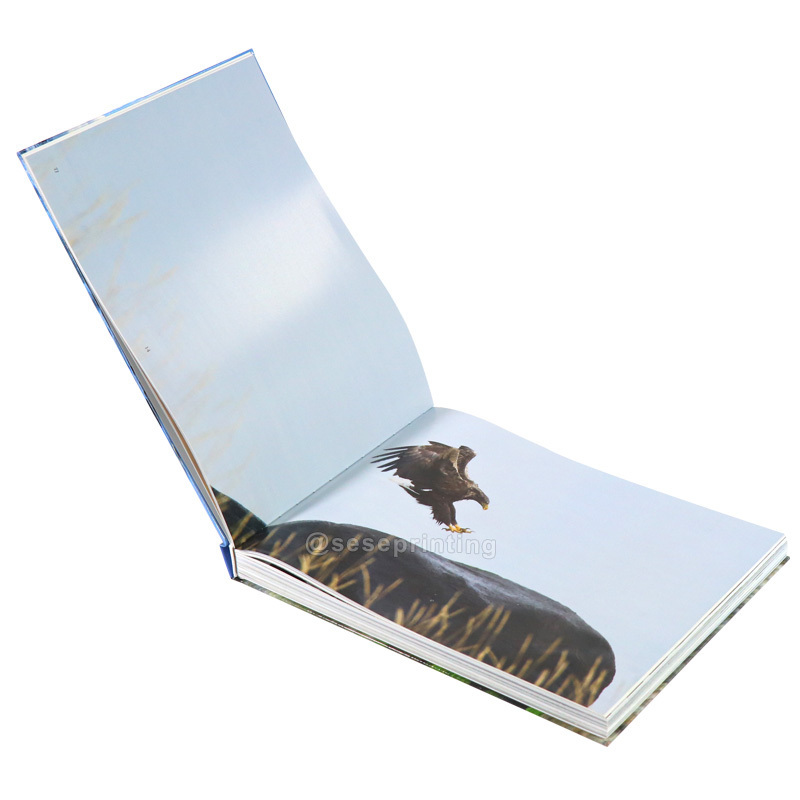 Book Printing Supplier Wholesale Hardcover Photography Book Photo book Printing