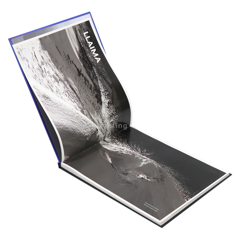 Book Printing Supplier Wholesale Hardcover Photography Book Photo book Printing