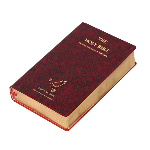 Custom English Version KJV king James Christian Holy Bible Printing Service