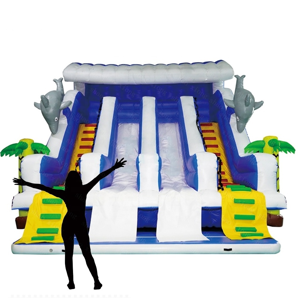 Amusement Park Products Double Lane Inflatable Kids Bouncer Water Pool Slides Prices