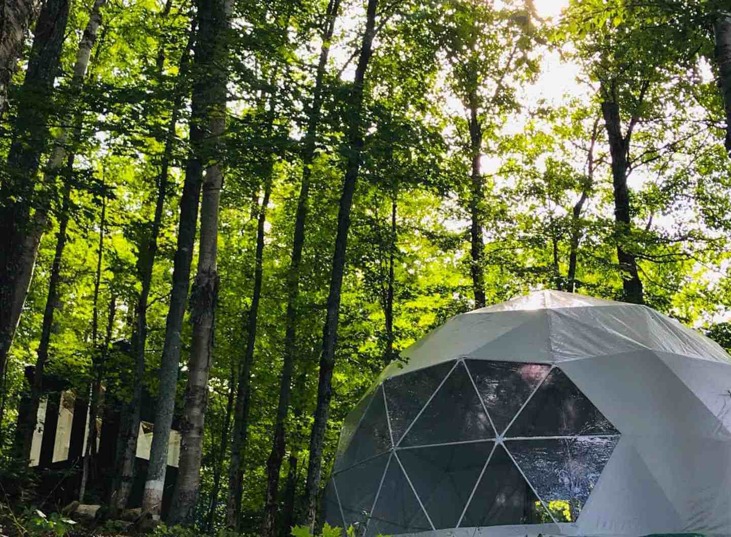 6m Luxury Resort Hot Glamping Geodesic Igloo Geo Dome Tent For Outdoors