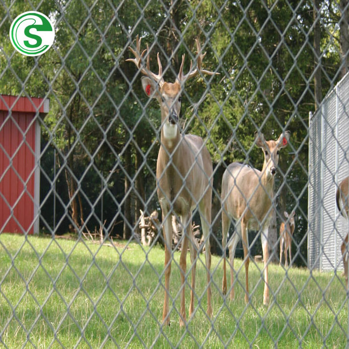 Galvanized used chain link zoo mesh fence for sale