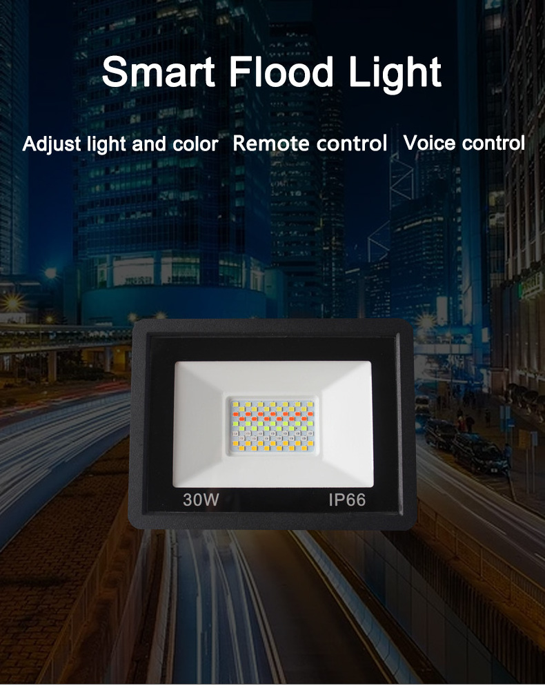 LED Floodlight 30W RGB Flood Light APP Outdoor RGB Smart Floodlight 220V Spotlight IP66 LED Smart Light