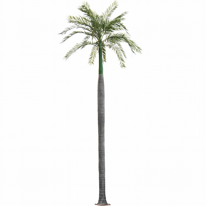 Large Fake Outdoor Anti Uv Artificial Coconut King Palm Trees For Beach Decor