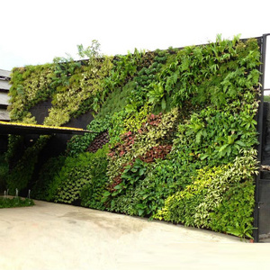 Indoor Artificial Plastic Creeper Boxwood Hedge Moss Grass Plant Vertical System Panels Leaves Green Wall For Decoration