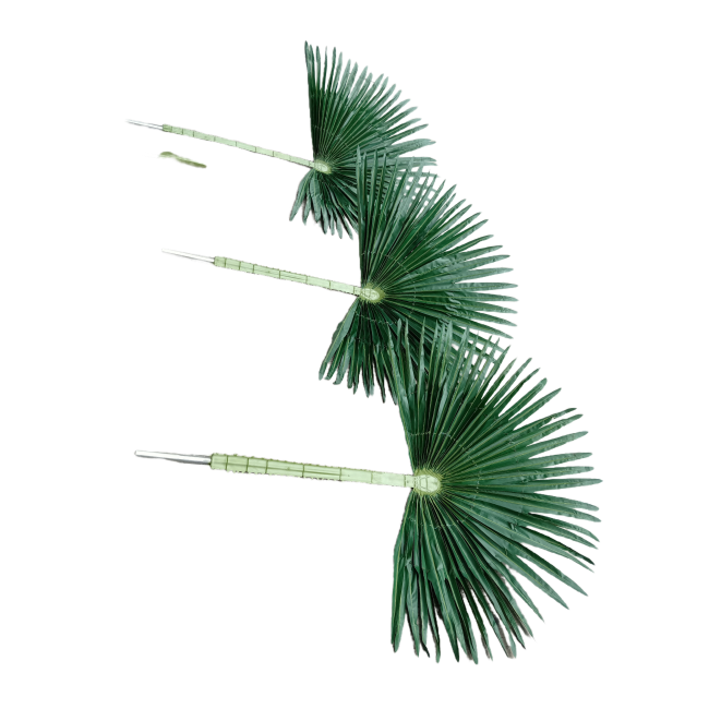 artificial fan Mallow leaves 1.3 m palm leaves photography fan large leaf landscape green plant