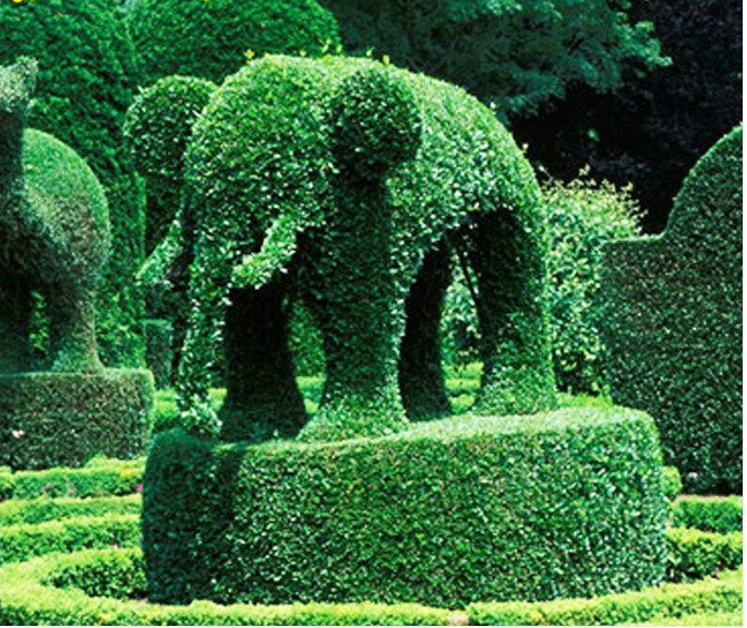 high quality cheap plastic artificial topiary animal, animal topiary wire frame