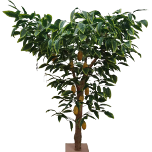 Simulation cocoa tree fruit tree custom green plants large floor bonsai garden decoration artificial cocoa tree