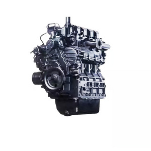 SHIYOU Diesel Engine Philippine V2203MDI V2403-M V2203 V2403 Diesel Engine For Kubota 1J476-19000