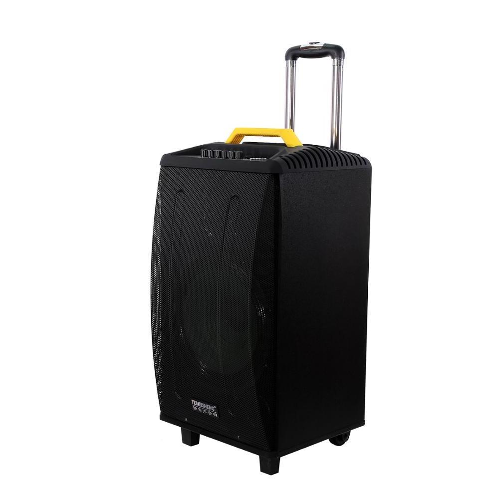 Temeisheng portable private model Trolley speaker big power speaker