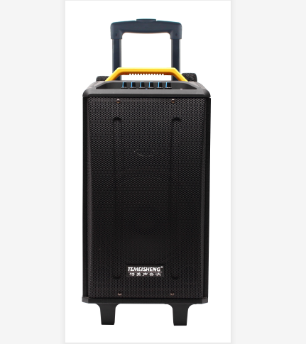 Temeisheng portable private model Trolley speaker big power speaker