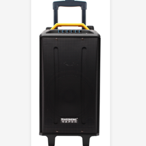 Temeisheng portable private model Trolley speaker big power speaker