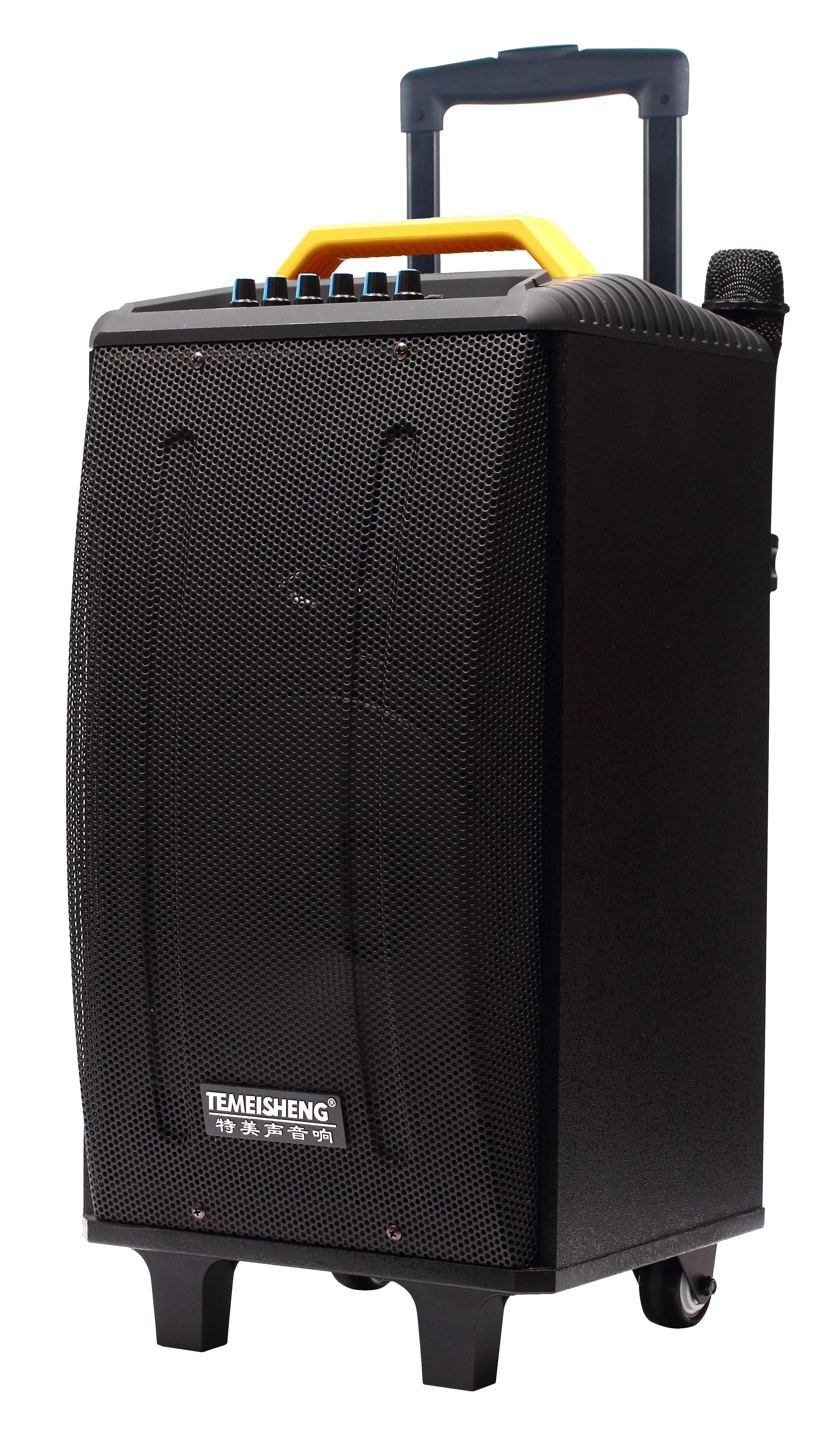 Temeisheng portable private model Trolley speaker big power speaker