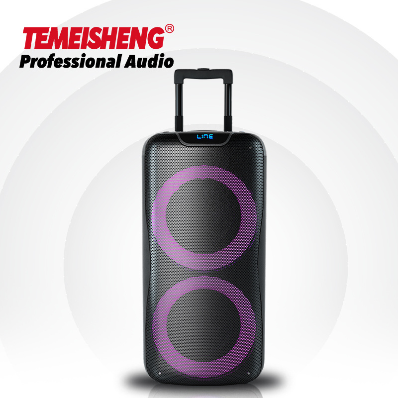 Mega Bass Dual 8 inch portable trolley speaker with Dual Ring LED lights BT 5.0 TWS REC FM input option