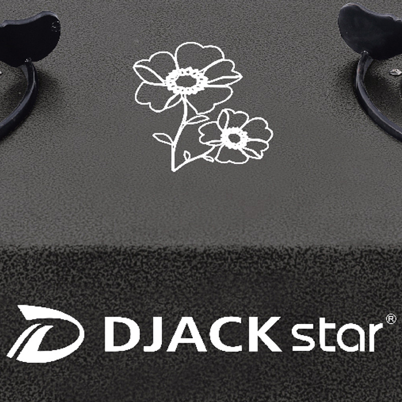 DJACK STAR 8042-F40 fashion wholesale price infrared gas cooker 2 burner gas cooker with oven and grill