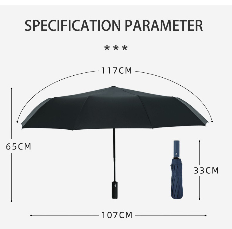 Smart 10 Ribs Large Canopy Automatic Folding Umbrellas with Logo Custom