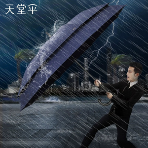 Paradise Umbrella Excellent Super Double Wind And Rain Proof Double Long Handle Straight Golf Umbrella