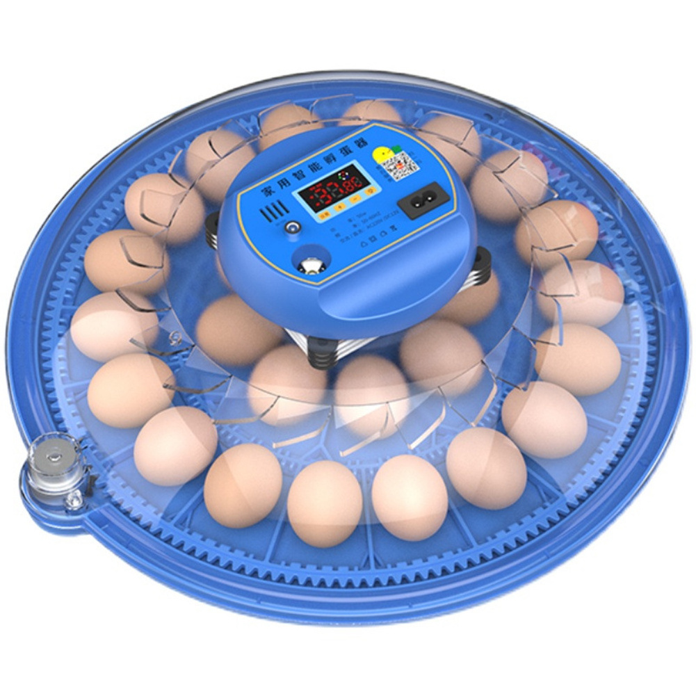 Egg Incubator Rutin Chicken, Chick Small Household Automatic Intelligent Small Flying Saucer Parrot Bird Egg Incubator/