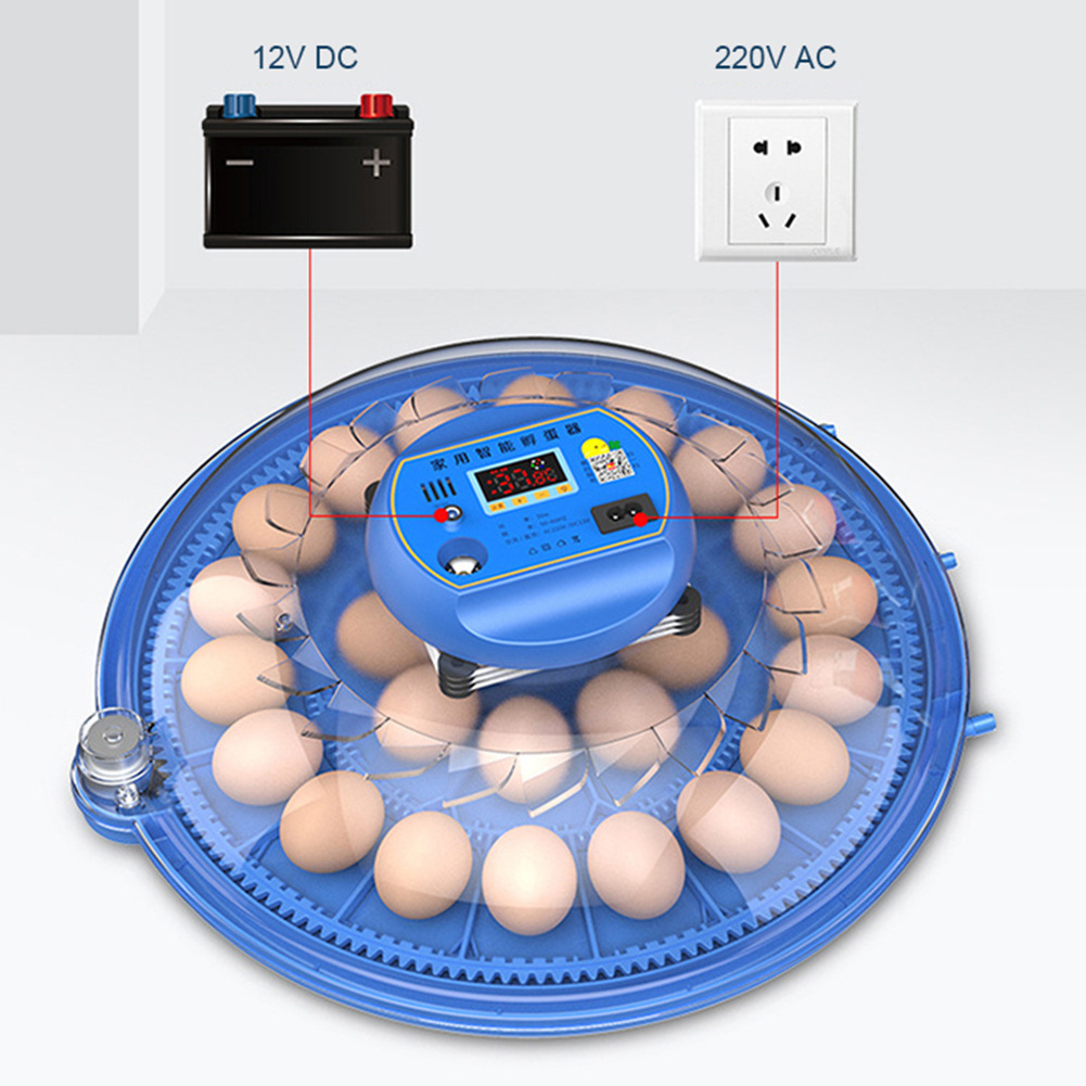 Egg Incubator Rutin Chicken, Chick Small Household Automatic Intelligent Small Flying Saucer Parrot Bird Egg Incubator/