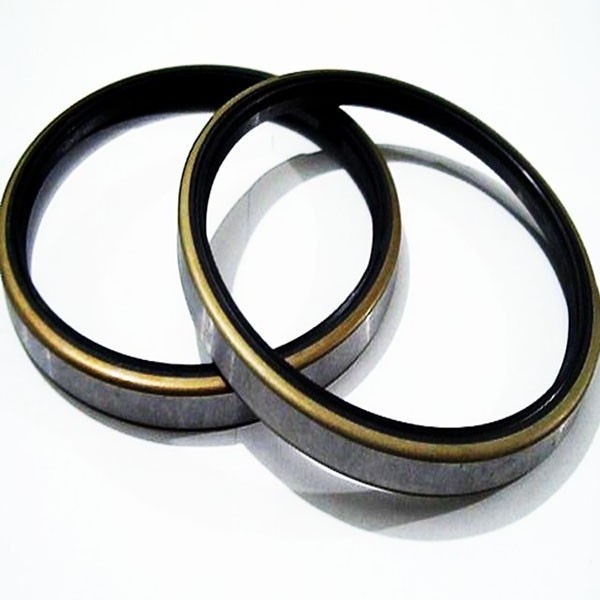 National Oil Seal Size Excavator Oil Seal DKB Rubber Metal Dust Seals For Engine