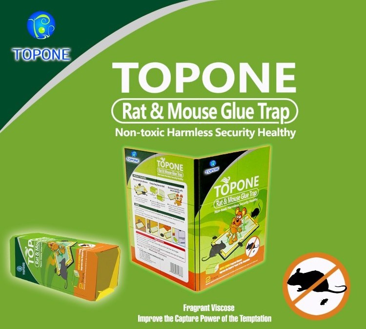 Rat Catch Glue board for Mice Pest Type and Traps Pest Control Type Mouse Trap