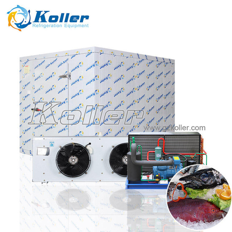 China Factory Mini Solar Chicken Container Coolroom Blast Freezer Cold Rooms Portable Cold Storage For Sale