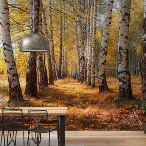 Autumn Birch Forest 3D Peel and Stick Removable Kids Mural Self-adhesive Wallcovering Bedroom Wallpaper wall covering