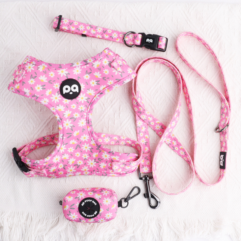 Hot Selling Printed Mesh Reversible Dog Harness Set Custom Logo Design No Pull Neoprene Soft Small Dog Harness And Leash Set