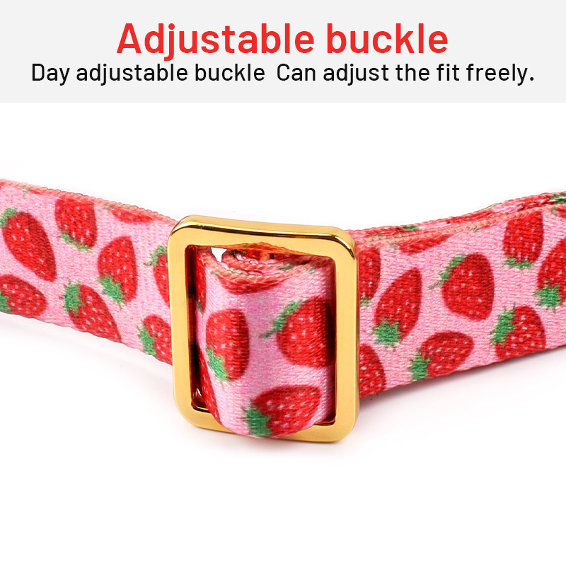 2024 Popular Luxury Designer Custom Dog Collar Metal Buckle Hardware Personalized Sublimation Gold Pet Dog Collar Manufacturer