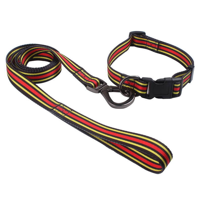 Pet Supplier Dog Accessories Wholesale Adjustable Design Dog Collar and Leash with Pad for Dogs Heat Transfer Printing Pattern