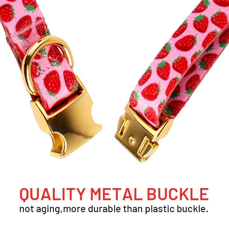 2024 Popular Luxury Designer Custom Dog Collar Metal Buckle Hardware Personalized Sublimation Gold Pet Dog Collar Manufacturer