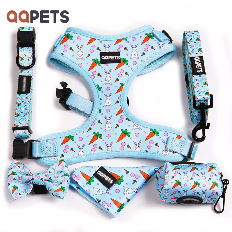 Hot Selling Printed Mesh Reversible Dog Harness Set Custom Logo Design No Pull Neoprene Soft Small Dog Harness And Leash Set