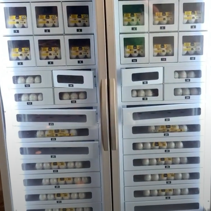 Egg Vending Machine locker in the fridge cooling system Smart Vending Micron Can Be Customized