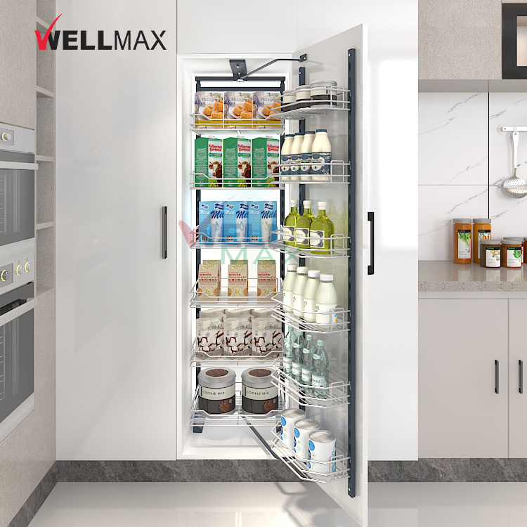 WELLMAX Pantry Unit Kitchen Accessories Functional Fittings Cabinet Pull Out Kitchen Wire Storage Basket Iron Organizer