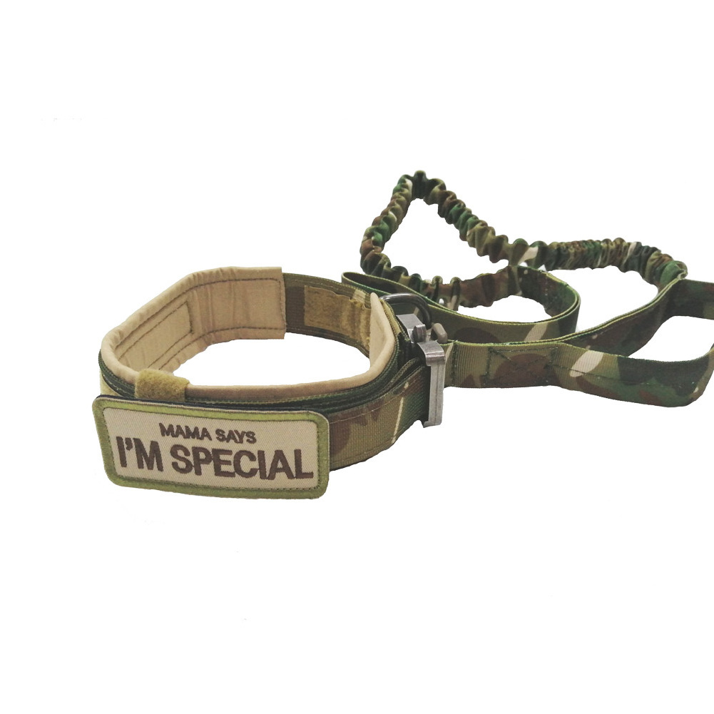 Custom Logo Durable Nylon Dog Collar And Leash Tactical Dog Collar Dog Leash Clasp Big Collar