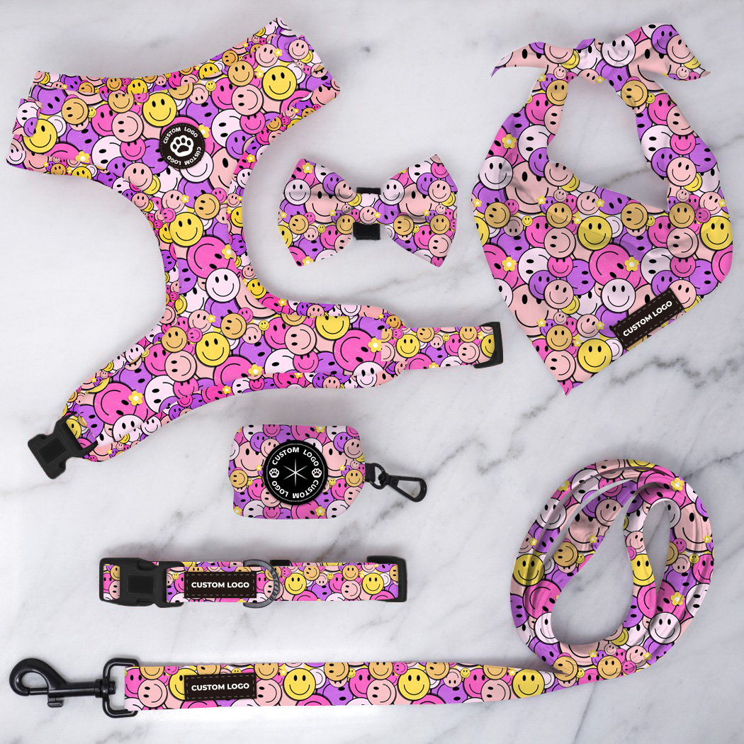 Personalized Design Dog Collars and Matching Leashes Rubber Logo Covers Dog Collar Leash Manufacturers