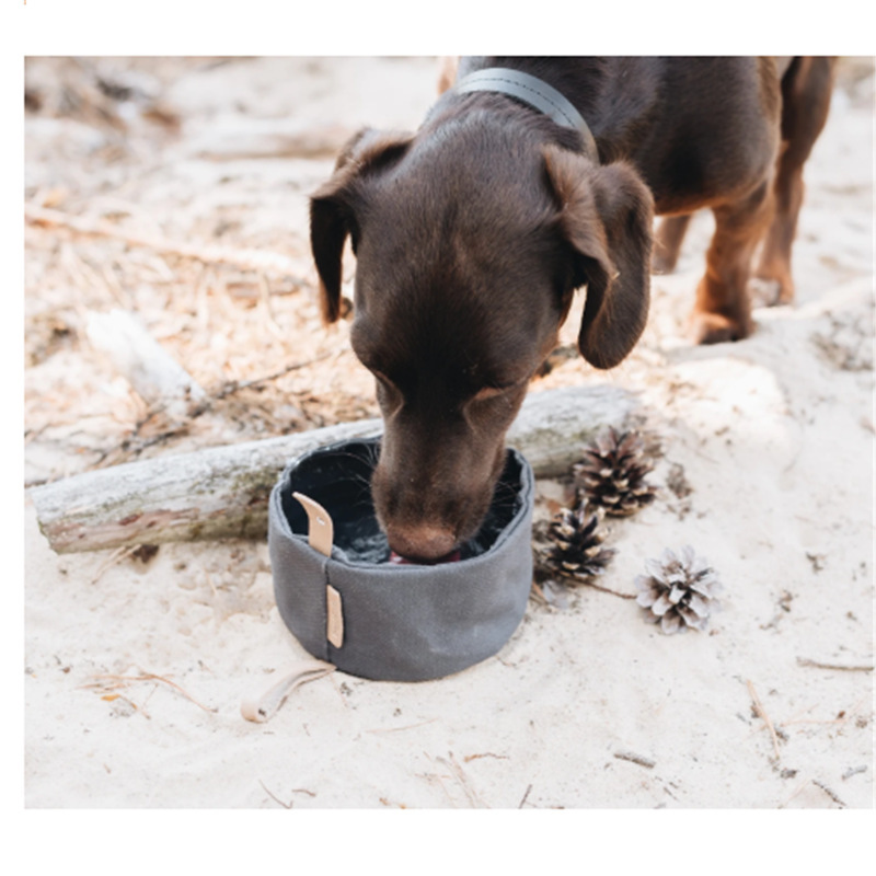 New product portable Canvas collapsible dog bowl outdoor pet bowl fold food and water sublimation dog bowls